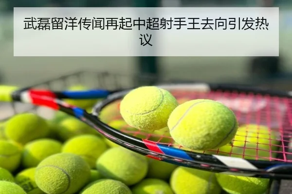 武磊留洋传闻再起中超射手王去向引发热议