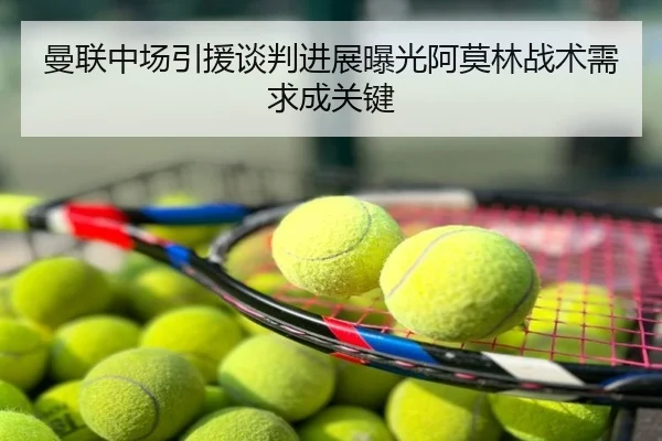 曼联中场引援谈判进展曝光阿莫林战术需求成关键