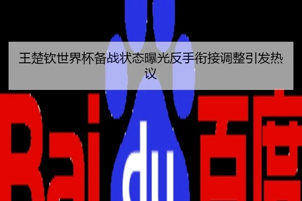 王楚钦世界杯备战状态曝光反手衔接调整引发热议